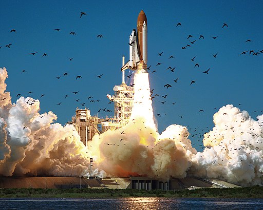 Figure 3. Space Shuttle Challenger launches from launchpad 39B Kennedy Space Center, FL, at the start of STS-51-L. Hundreds of shorebirds in flight. Image by NASA - NASA Human Space Flight Gallery, Public Domain.