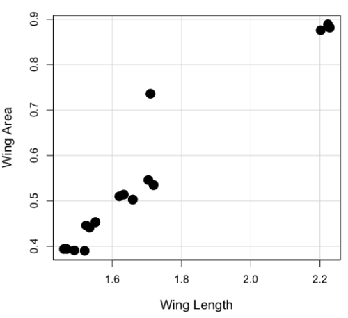 fly wings, area by length