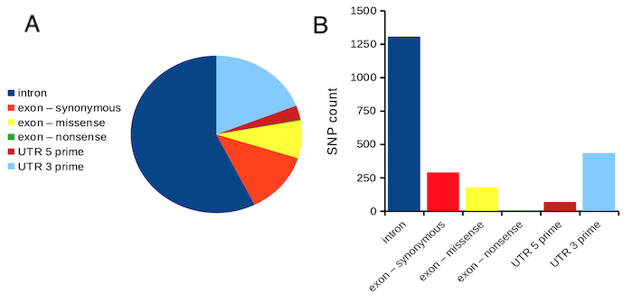 Number of SNP by DNA element and functional class. A. Pie chart. B. Bar chart.