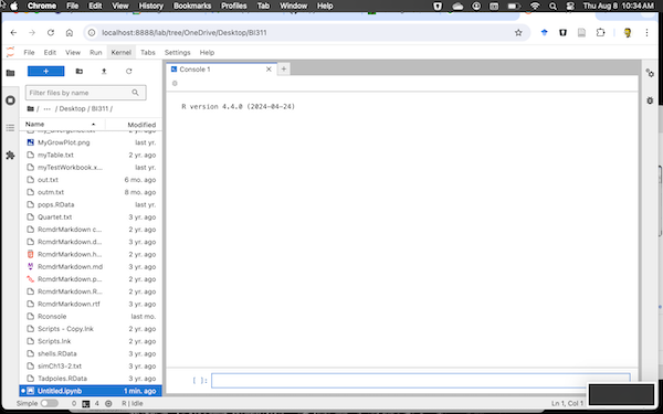R running as Console in Jupyter