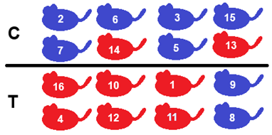 Simple random sampling with strata