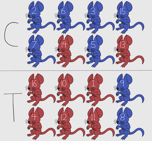 Sixteen mice, randomly assigned to treatment groups C and T; by chance, 75% blue in C and just 25% in T. If color was a confounding factor then our conclusions about the effectiveness of the treatment would be associated with color. Image © 2024 Mia D Graphics